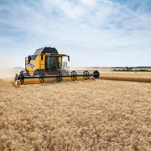 120_CX8_80_StageV_19_365-1