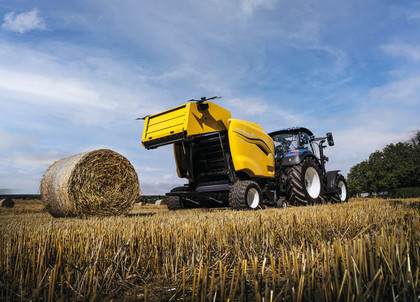 397_Roll_Bar_125_21_004