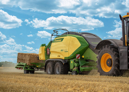 353_DSC_0418_165968-scaled