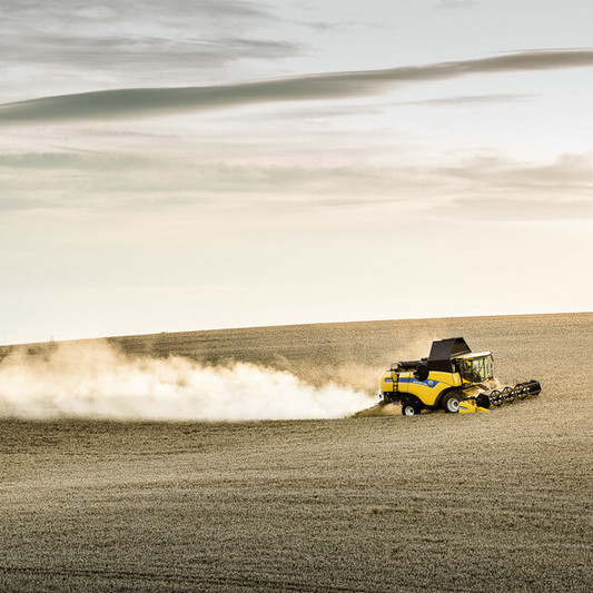 386_CX6_80_StageV_17_091