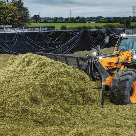 391_Bildschirmfoto-2022-01-07-um-11.52.16