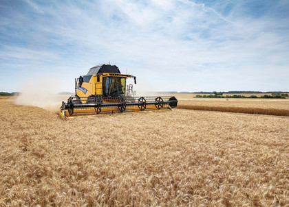 111_CX8_80_StageV_19_365