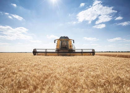 6_CX8_80_StageV_19_341