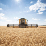 6_CX8_80_StageV_19_341