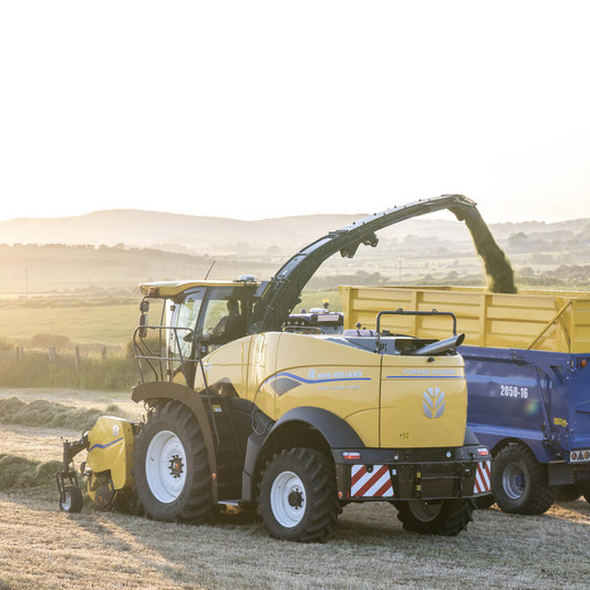 342_FR_780_StageV_23_131