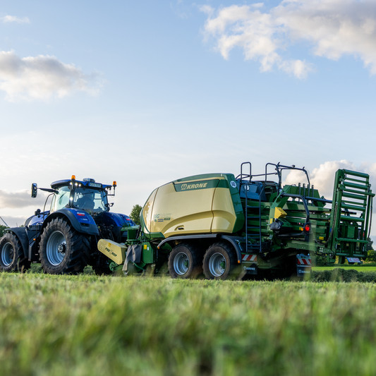 250619_I_WBG_I_Kroneabend_Eggstedt_I__c_Wuestenberg_I_Bildnr-42