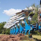 juwel-8-streifenkoerper-2