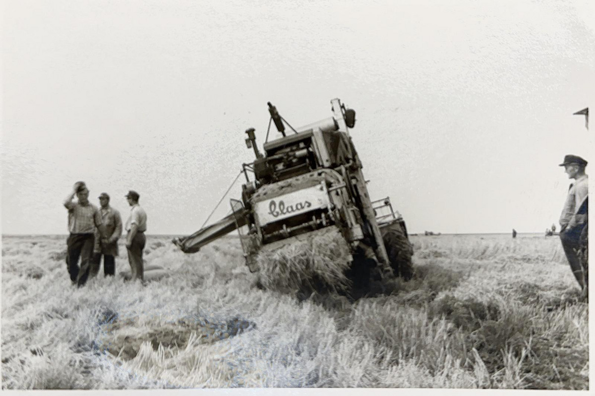 Lohndrusch_50er_Jahre