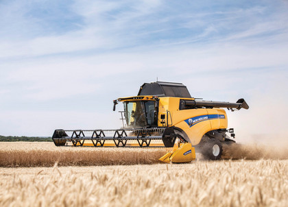 179_CX8_80_StageV_19_310-1