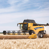 179_CX8_80_StageV_19_310-1