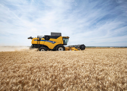 177_CX8_80_StageV_19_373