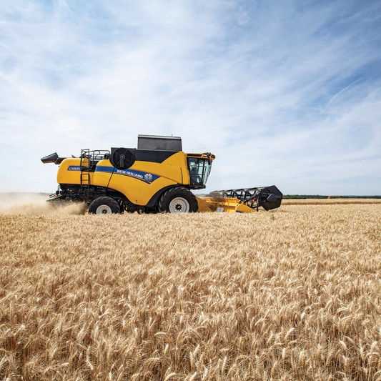 177_CX8_80_StageV_19_373