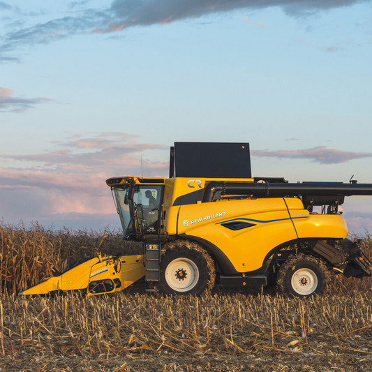 182_CR8_80_StageV_23_002