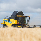 385_210722IWLIDreschenFriedrichWilhemLuebkeKoogI_c_StoryfischerI_-8-scaled